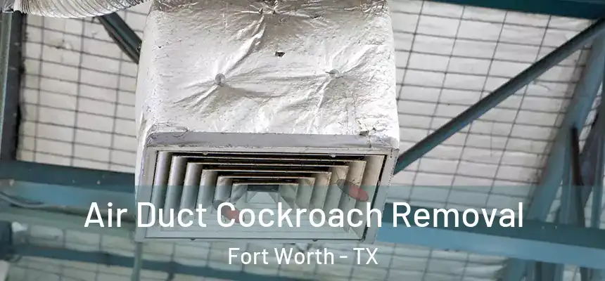 Air Duct Cockroach Removal Fort Worth - TX
