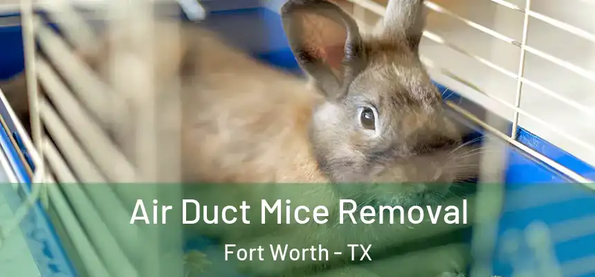 Air Duct Mice Removal Fort Worth - TX