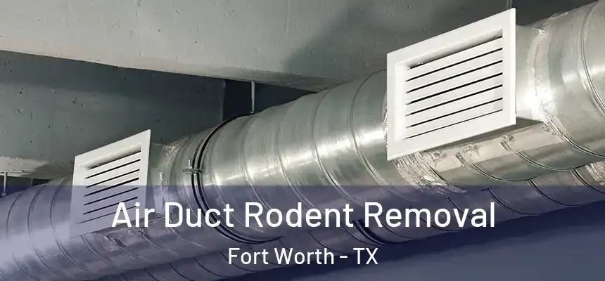 Air Duct Rodent Removal Fort Worth - TX