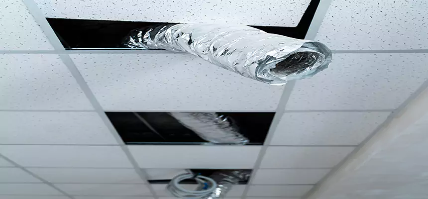Affordable HVAC Sanitizing After Pest Removal in Fort Worth