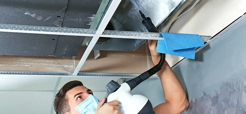 Our Air Duct Rodent Removal Services in Fort Worth, TX