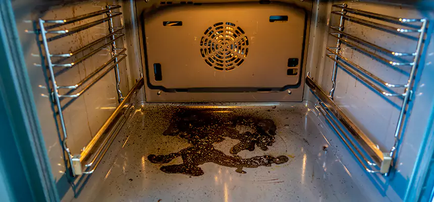 Our Dryer Vent Mold Cleaning Services in Fort Worth, TX