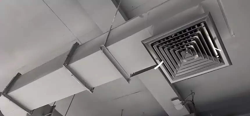 Our Pest Removal From Ducts Services in Fort Worth, TX