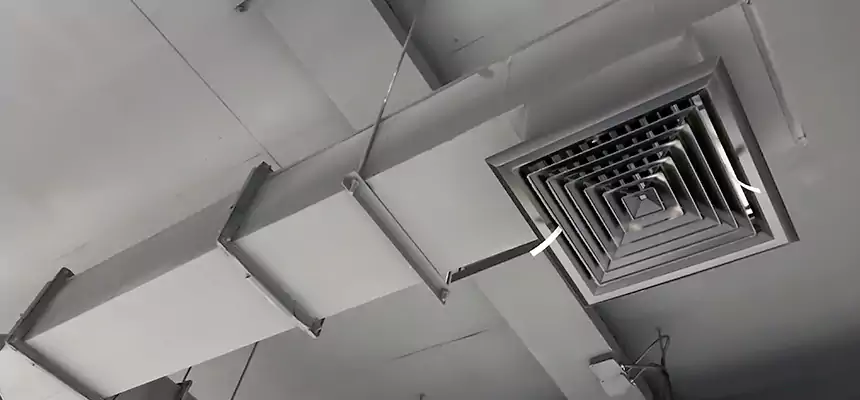 Our Rodent Droppings In Vents Services in Fort Worth, TX