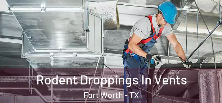 Rodent Droppings In Vents Fort Worth - TX