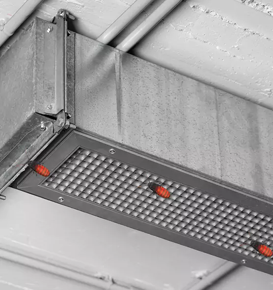 About Air Duct Cockroach Removal in Fort Worth, TX