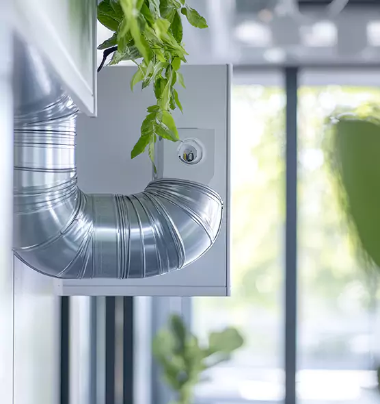 Professional Eco-Safe Dryer Vent Cleaning in Fort Worth, TX