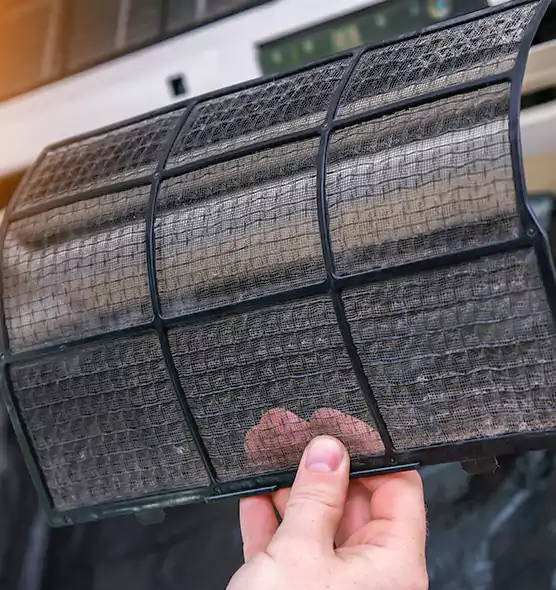 About Pet Dander Duct Cleaning in Fort Worth, TX